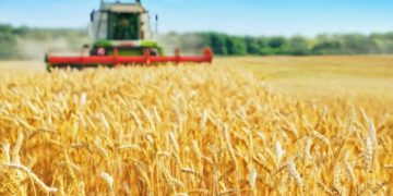 Russia-Ukraine War and the Fertiliser Crisis: Is the World Food System at Risk?