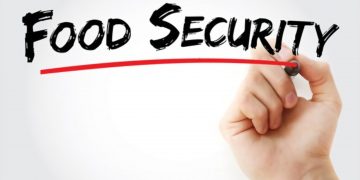 Rising food insecurity in the UK