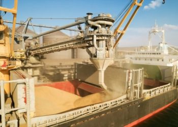 Ukraine grain ships: Who benefits?
