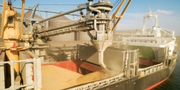 Ukraine grain ships: Who benefits?