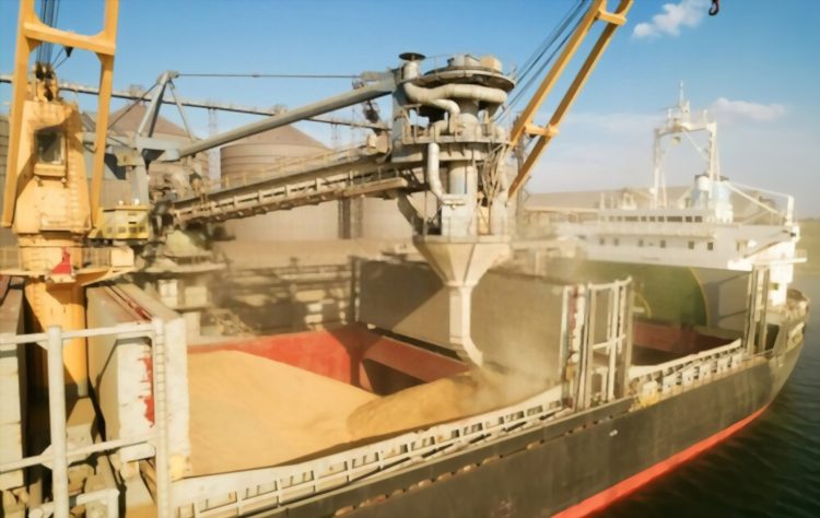 Ukraine grain ships: Who benefits?