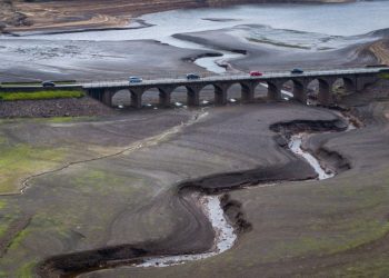 Global warming mitigation policies