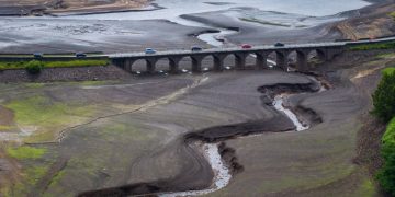 Global warming mitigation policies